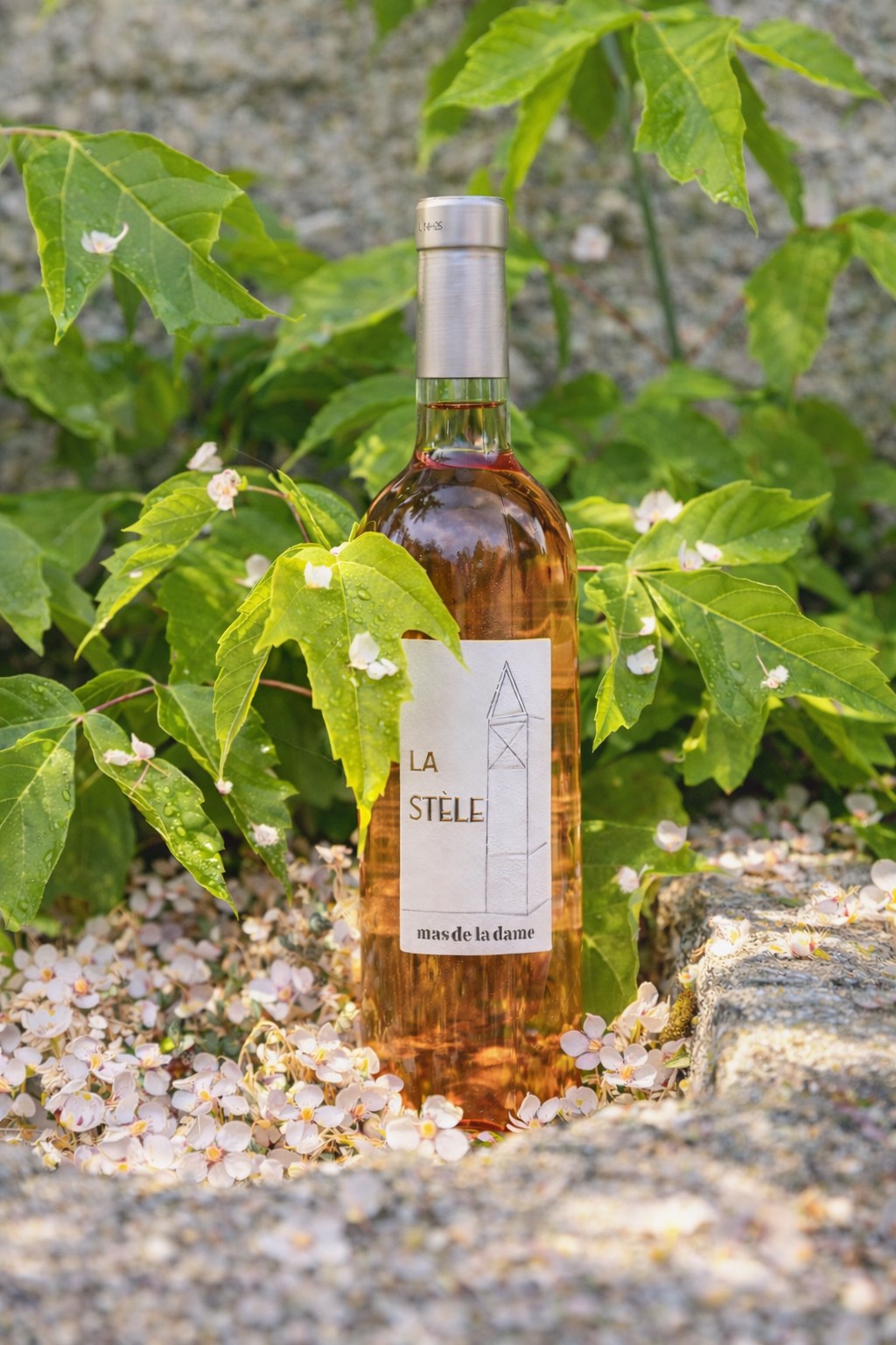 Photo by Mas De La Dame on March 20, 2026. May be an image of wine, wine bottle and text that says 'LA LA STÈLE masde masdeladame la dame'.