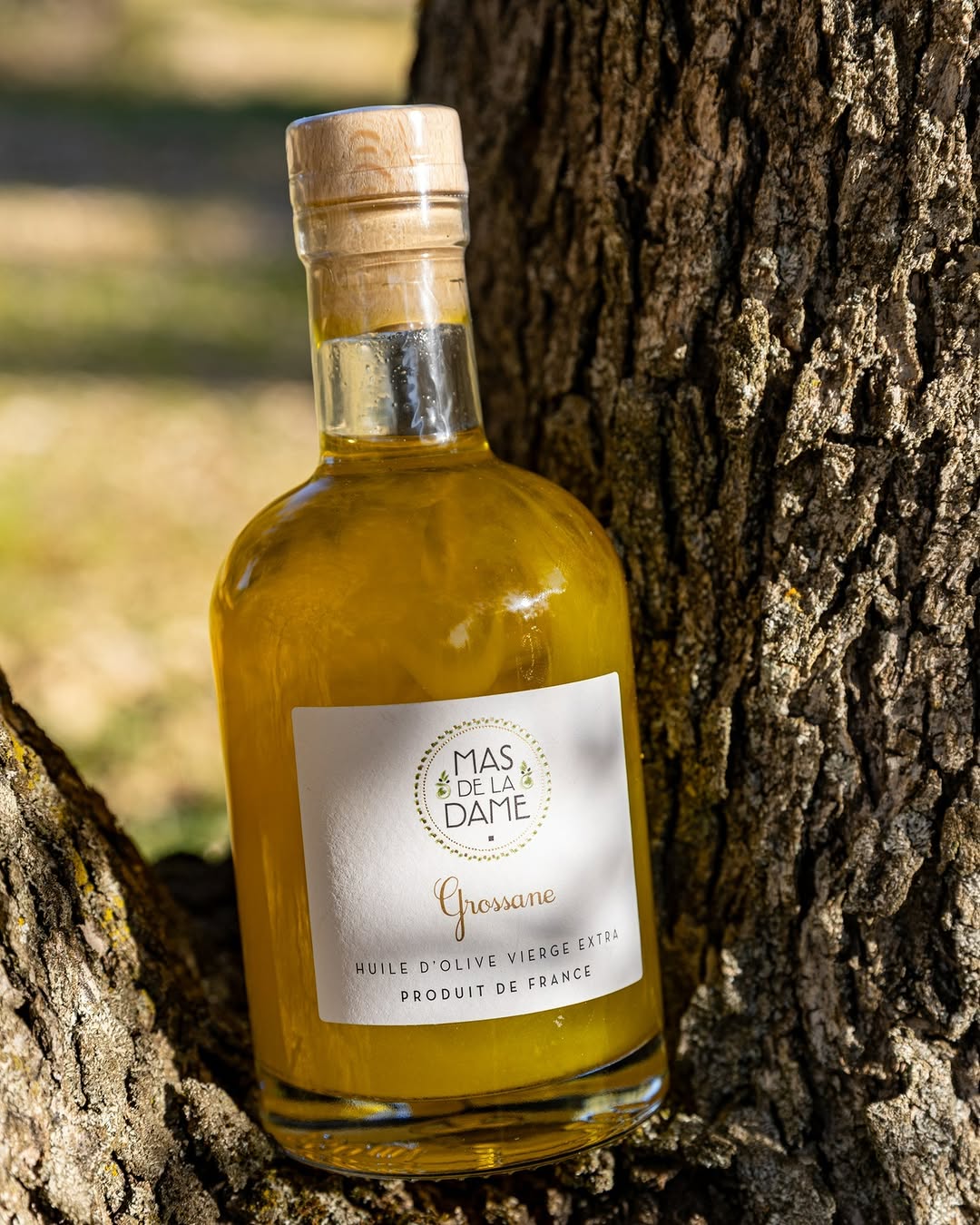 Photo by Mas De La Dame on February 18, 2026. May be an image of ‎drink, olive oil and ‎text that says '‎MAFE MAS DELA& ٤ ی DELAC DAME Ghossane Grossane HUILE PRODUITDEFRANCE DOLIVEVIERGEEX D D'OLIVE VIERGE VIERGEEXTRA EXTRA PRODUIT DE FRANCE‎'‎‎.