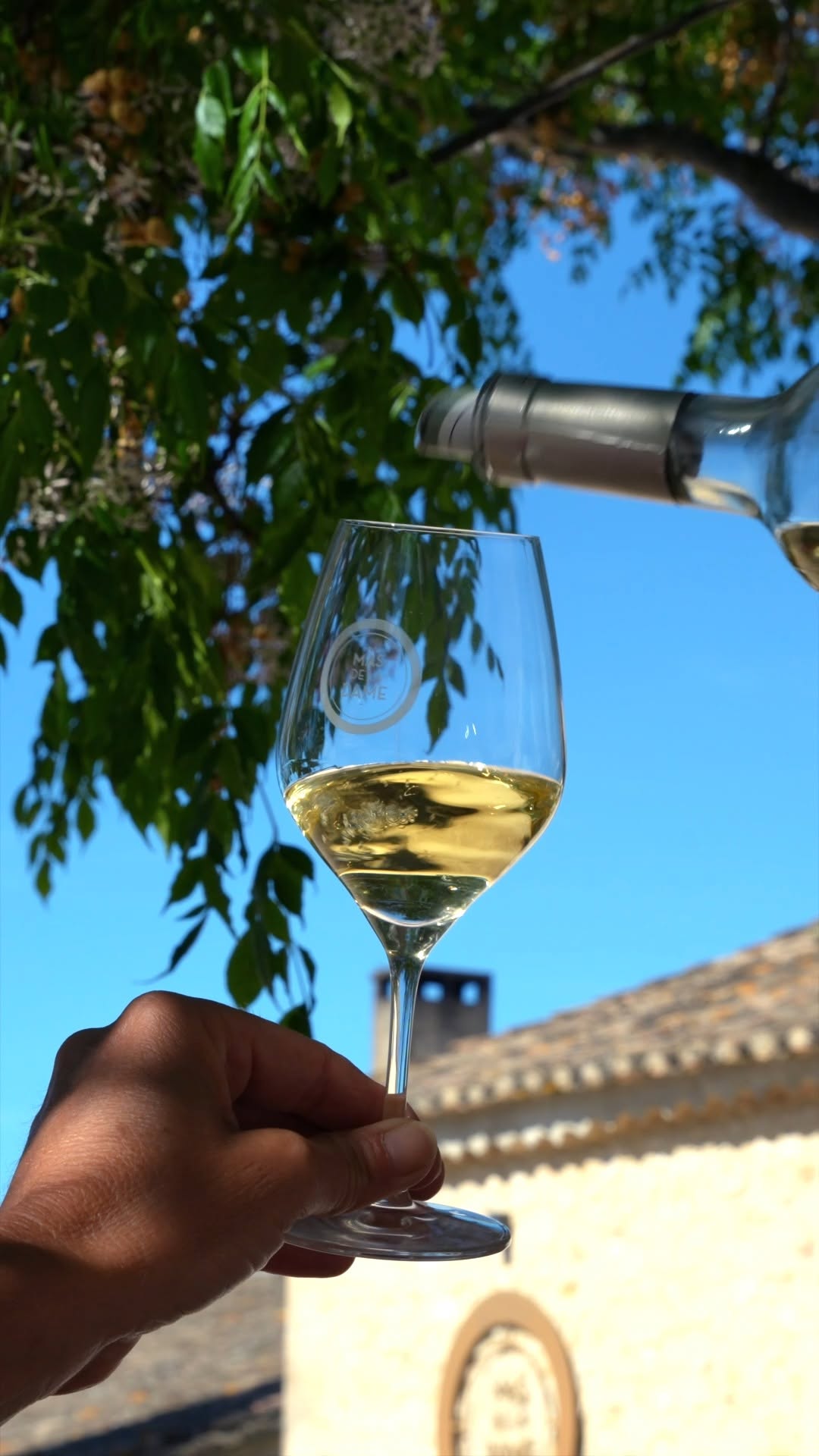 Video by Mas De La Dame on July 16, 2026. May be an image of wine glass and text.