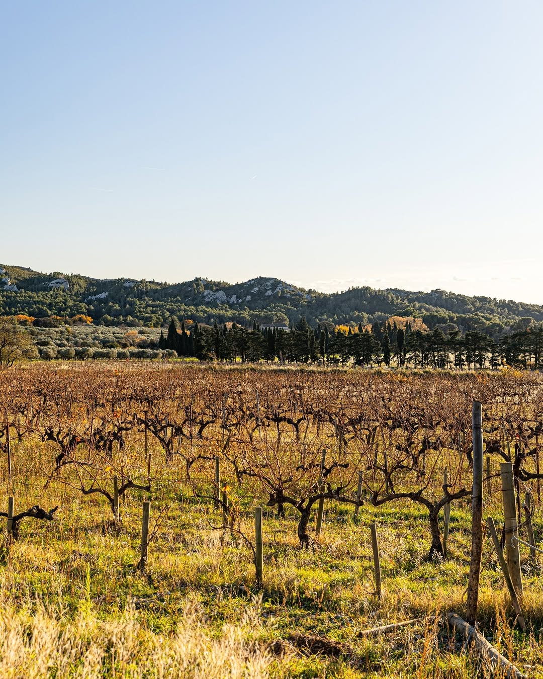 Photo by Mas De La Dame on March 11, 2026. May be an image of text.