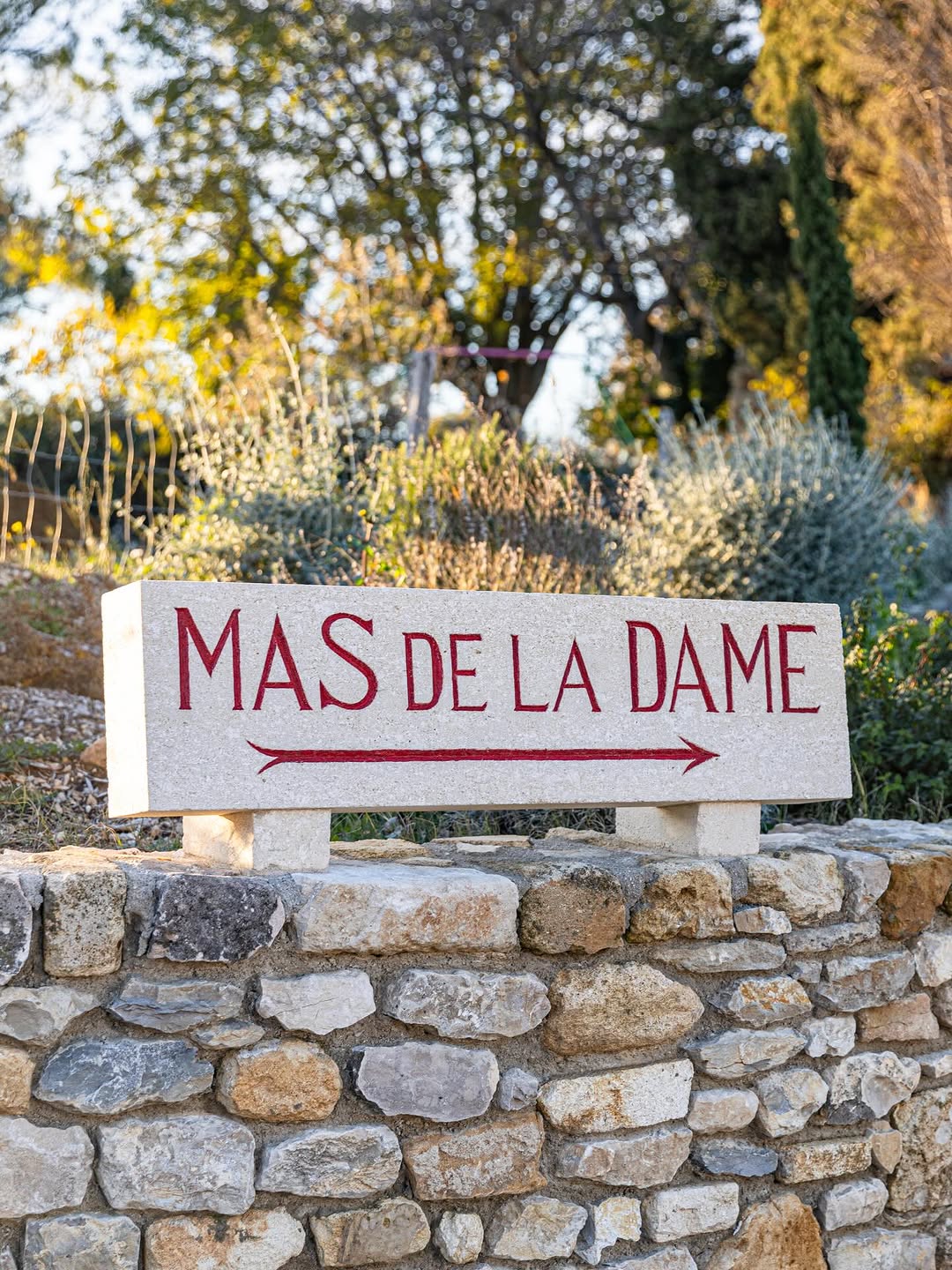 Photo by Mas De La Dame on March 29, 2026. May be an image of outdoors and text that says 'MAS DE LA DAME'.