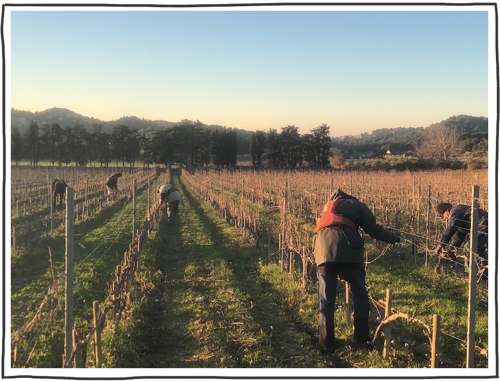 Untitled illustration