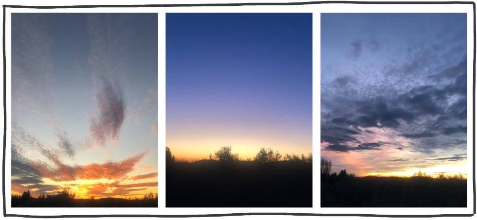 Untitled illustration