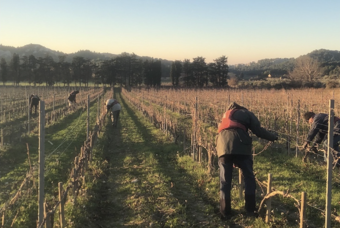 letter mas de la dame (3)